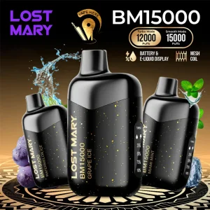 Lost Mary